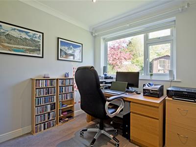 Picture 20
